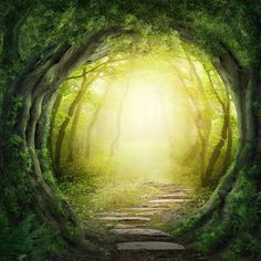 an image of a path in the woods with sunlight coming through it and trees on either side