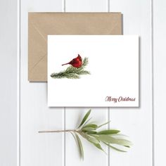 a red bird sitting on top of a christmas card