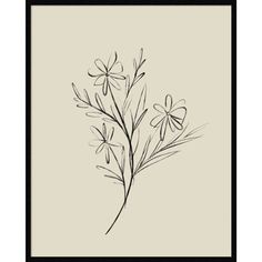 a black and white drawing of flowers on a beige background