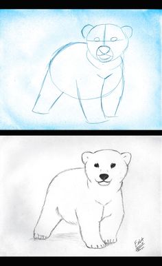 two drawings of polar bears, one in blue and the other in white