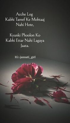 a red flower sitting on top of a table next to a black background with words written in