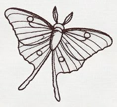 a drawing of a butterfly with dots on it's wings