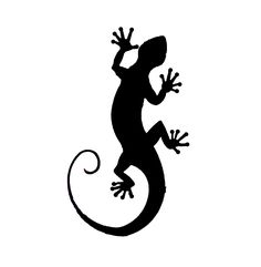 a lizard silhouetted on a white background