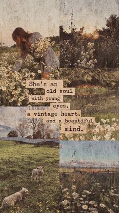 there is a collage with pictures of sheep and flowers in the grass, one has a quote on it that says she's an old soul with young