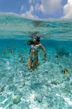 Swimming In The Ocean, Roatan Honduras, Shotting Photo, Roatan, Under Water, Summer Bucket Lists