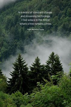 trees and fog in front of a mountain with a quote on it