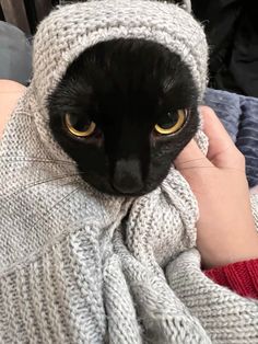 a black cat wearing a knitted hoodie on top of someone's arm