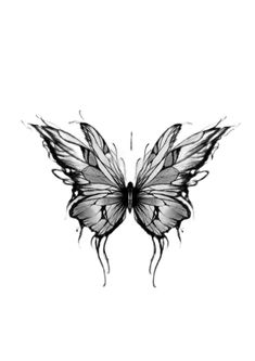 a black and white drawing of a butterfly