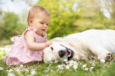 a baby playing with a dog in the grass