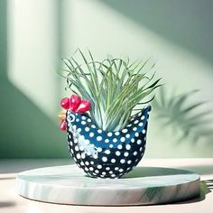 a potted plant sitting on top of a table