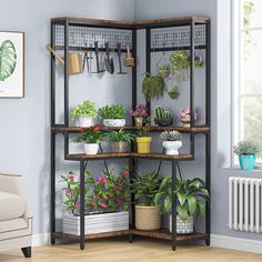 Tribesigns Corner Plant Stand, 67 Tall Flower Shelf with 15 Hanging Hooks Tribesigns Indoor Corner Plant Stand, Tall Corner Shelf, Corner Plant Stand, Tall Indoor Plants, Indoor Plant Stand, Apartment Designs, Pot Organization, Garden Plant Stand, Tall Plant Stands