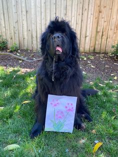 a large black dog sitting in the grass with a flower on it's face