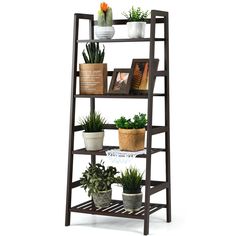 a wooden shelf with potted plants and books on it's sides, isolated against a white background