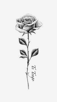 a black and white drawing of a rose with the words i love you on it