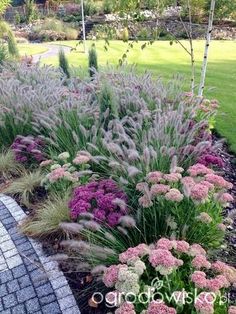 the garden is full of colorful flowers and plants, including pinks and purples