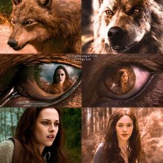 a collage of photos with wolfs and woman's eyes in the background