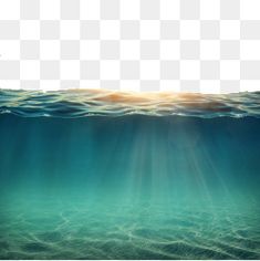 an underwater scene with sunlight shining down on the water and sunbeams in the background