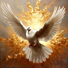 a white dove with its wings spread wide open in front of a yellow and orange background