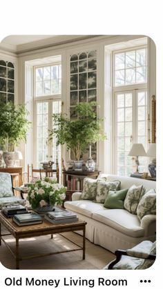 a living room filled with lots of furniture and plants on top of it's windows