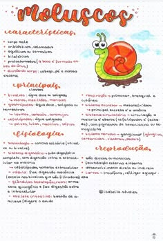 a page in a spanish language with an image of a snail and the words melusco's