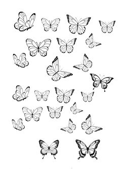 a bunch of butterflies flying in the air with black and white outlines on it