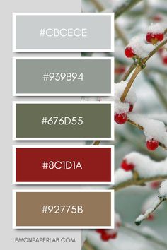 the color scheme for winter is red, white and gray with berries on it in different shades