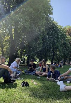 a group of people sitting on top of a lush green field next to trees and grass