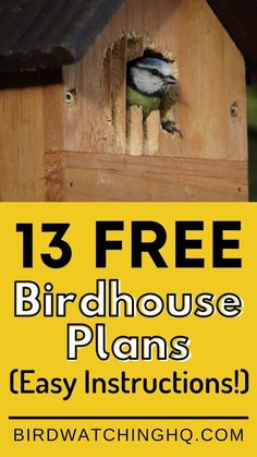 a birdhouse with text overlay that reads 13 free birdhouse plans easy instructions