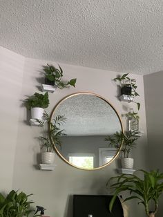 there is a mirror and some plants on the wall