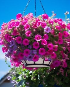 a hanging basket filled with pink and purple flowers