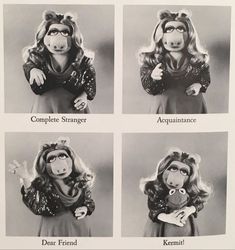 four pictures of the muppets in different poses