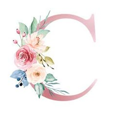 the letter c is decorated with flowers and leaves