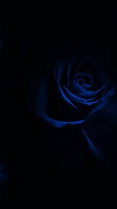 a blue rose is lit up in the dark with its petals still attached to it