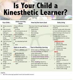 a child's guide to learning how to use the kineshetic learner