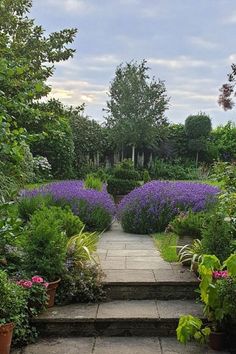 a garden with lots of plants and flowers on the steps leading up to some trees