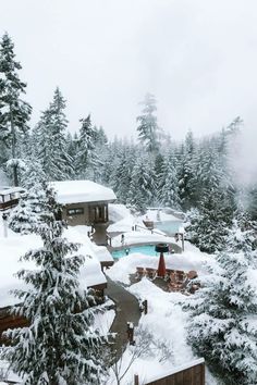 snow covered trees and houses in the distance, with a pool surrounded by pine trees