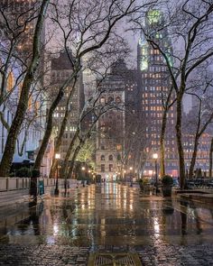 a city street with lots of trees and buildings in the background at night, on a rainy day