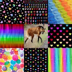 a collage of different images with hearts and animals