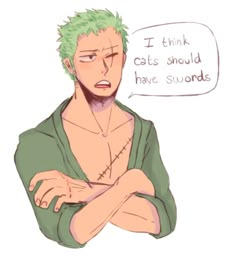 an anime character with green hair has his arms crossed and is saying i think cats should have swords