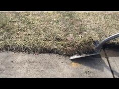 a lawn mower is laying on the ground in front of a sidewalk with grass growing out of it