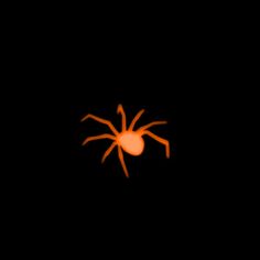 an orange spider is glowing in the dark