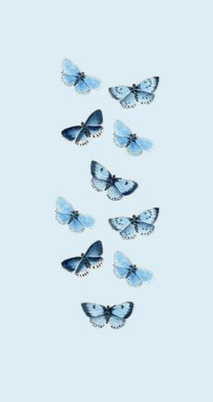 many blue butterflies flying in the sky