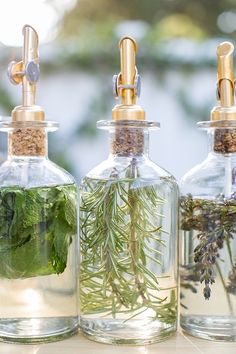 three glass bottles filled with plants and herbs