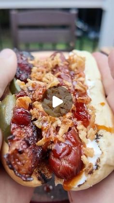 a person holding a hot dog with toppings on it