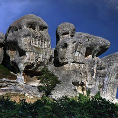 some very large rocks with faces carved into the sides and trees growing out of them