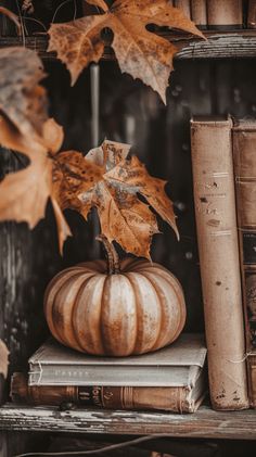 a pumpkin sitting on top of a book shelf next to books