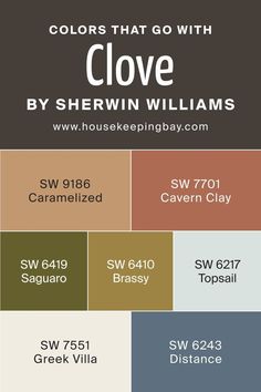 Sw Cavern Clay, Cavern Clay, Poised Taupe, Greek Villa, Brown Paint Colors, Plant Room, Greek Villas, Pintura Exterior