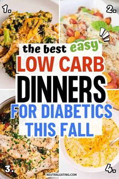 the best low carb dinners for diabetics this fall and why to use them