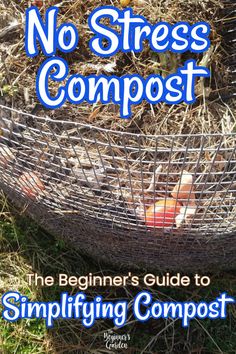 Easy Composting For Beginners, Compost Ideas, Composting For Beginners, Garden Beginner, Heirloom Gardening, Composting Ideas, Start Composting, Manure Composting, Home Composting