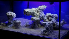 an aquarium filled with rocks and gravel in front of a blue light at the bottom